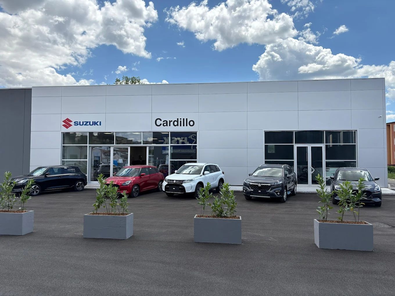 F.lli Cardillo S.r.l. - Suzuki Benevento